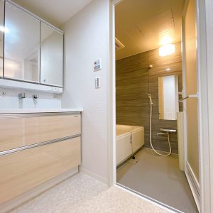 ヘアセットやメイク時の強い味方、三面鏡シャンプードレッサータイプの洗面台♪収納量も文句なしです♪(内装)