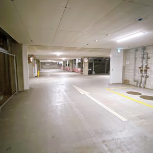 2023年1月　撮影