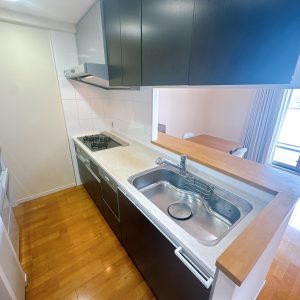 食器洗浄乾燥機付きのキッチンで後片付けもラクラク♪調理スペースもしっかり確保＆3口コンロで料理がはかどるシステムキッチンです(^^)(キッチン)