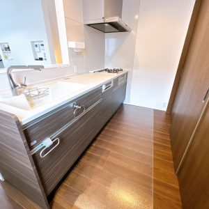 使い勝手の良いシステムキッチンは食洗機を搭載し、家事の負担を軽減。背面には収納スペースも確保されており、すっきりとしたキッチンを保てます(キッチン)