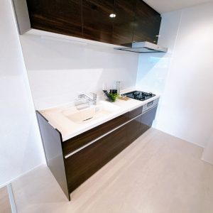 収納スペースが豊富なシステムキッチンです。三口コンロで料理がはかどりますね。浄水器付きなのも嬉しい！(キッチン)