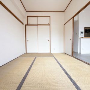 室内（2026年8月）撮影