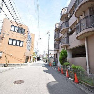 前面道路(周辺)