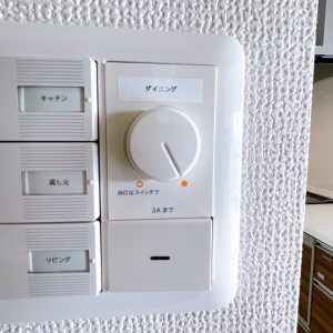2023年1月　撮影