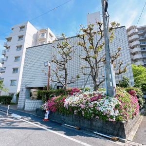 (外観)