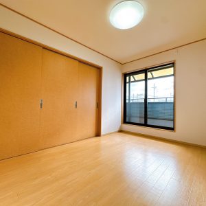 大きなクローゼットがあり、お部屋が清潔に保てます！(内装)
